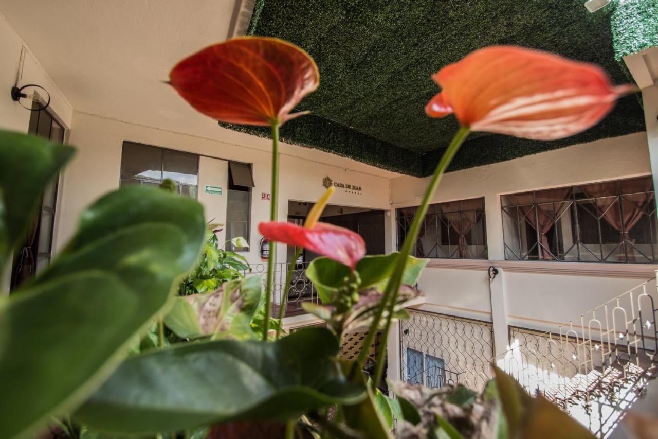 Casa De Juan Hostal Халапа Екстер'єр фото